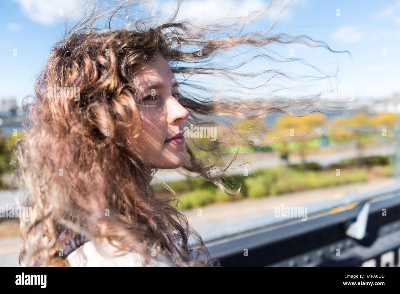 In NYC highline, linea alta, urban con persone turisti Donna che cammina in Chelsea West Side da cantieri di Hudson in autunno autunno d'oro giallo alberi, windy wi Foto Stock