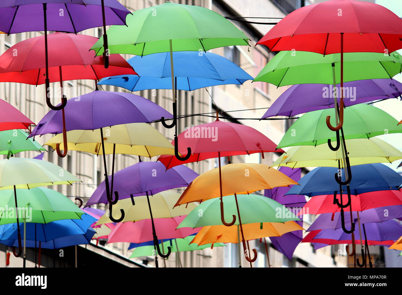 Molte colorate e vivaci ombrelloni Foto Stock