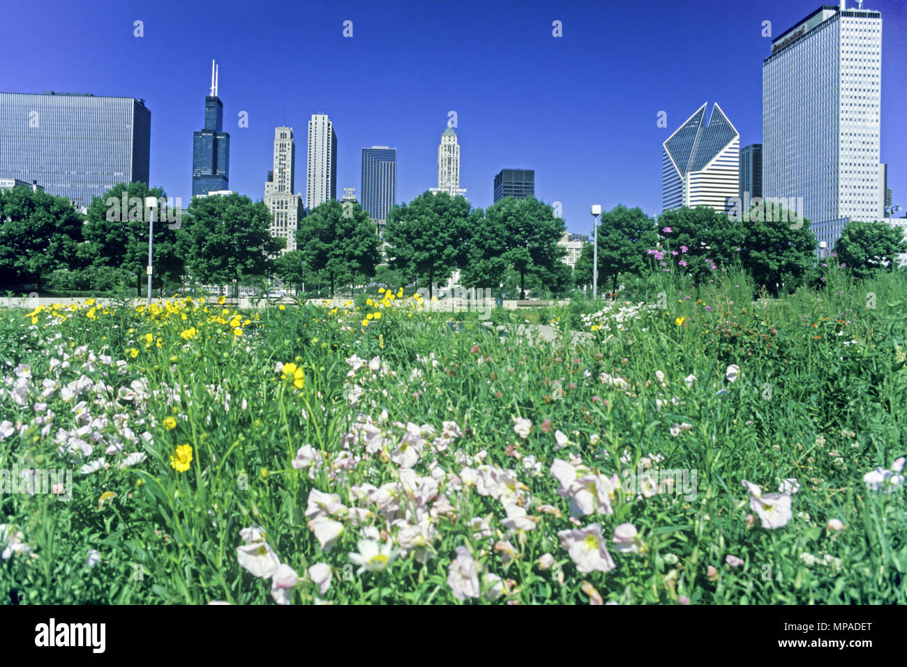 Storico 1988 GRANT PARK SKYLINE DOWNTOWN CHICAGO ILLINOIS USA Foto Stock