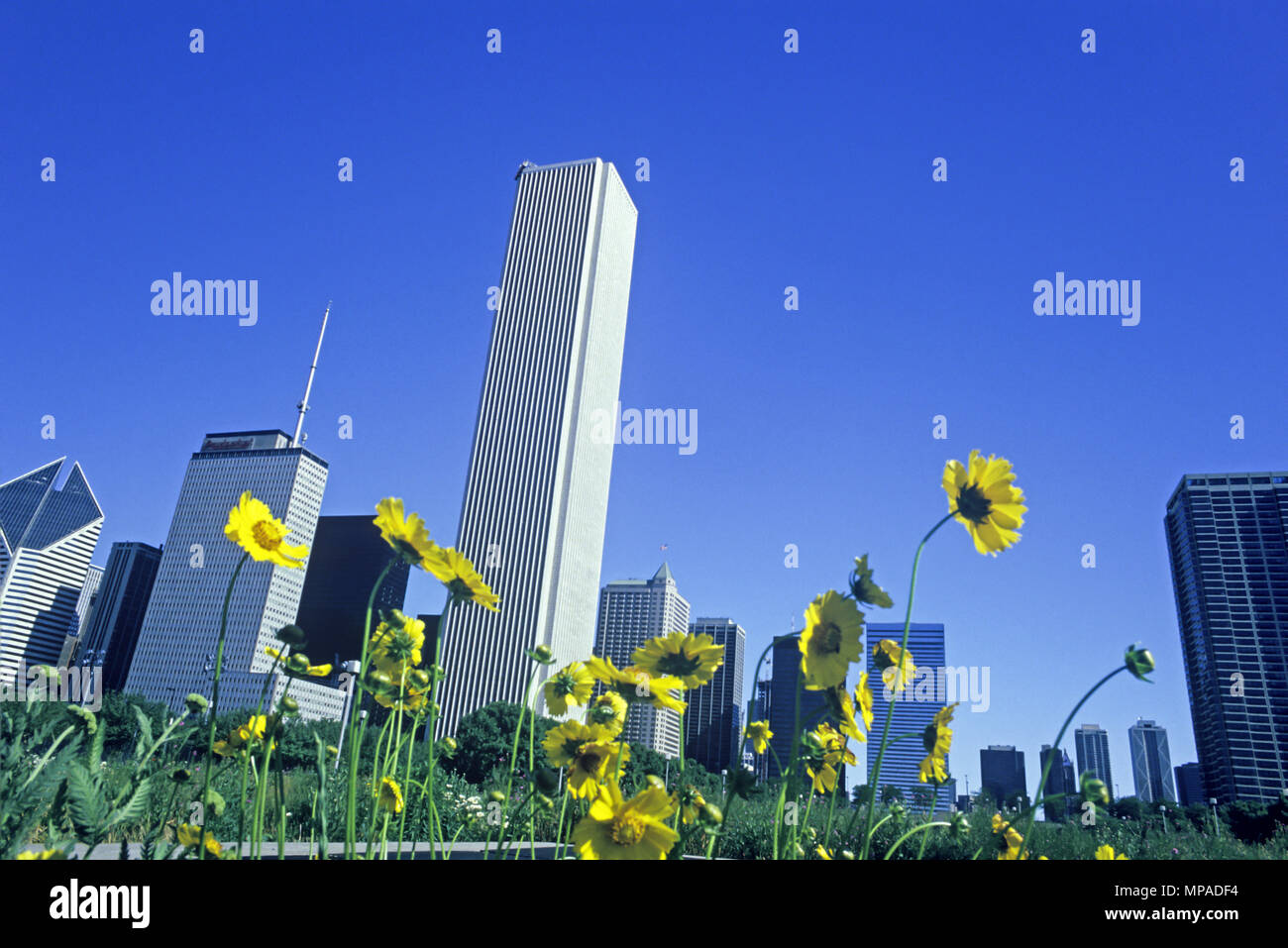 1988 RISERVA NATURALE STORICA DI FIORI SELVATICI GRANT PARK SKYLINE NEL CENTRO DI CHICAGO, ILLINOIS USA Foto Stock