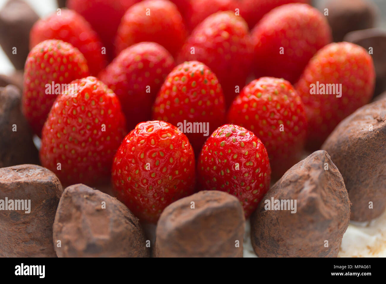 Chiudere la torta di fragole dessert. Foto Stock