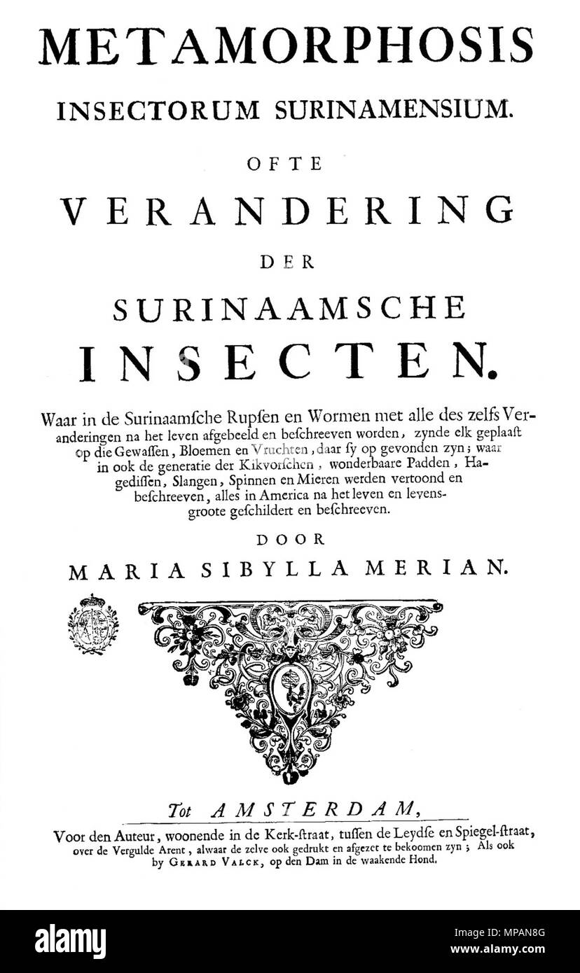 . Titolo pagina di metamorfosi insectorum Surinamensium . 1705. Maria Sibylla Merian (1647-1717) 885 Merian metamorfosi Titel Foto Stock