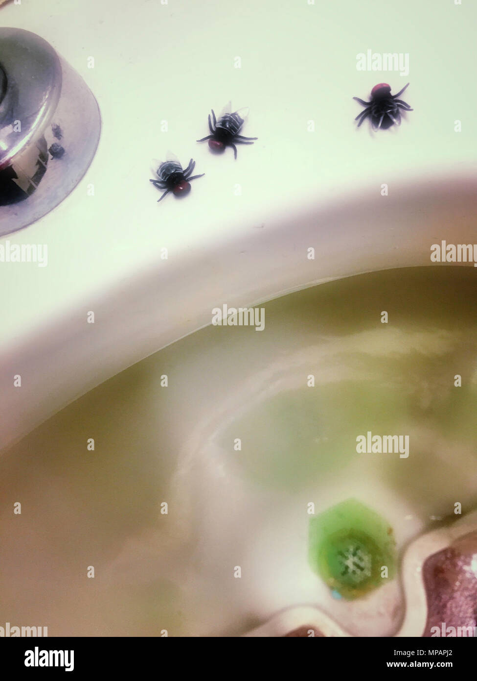 Vola su un orinatoio Foto Stock