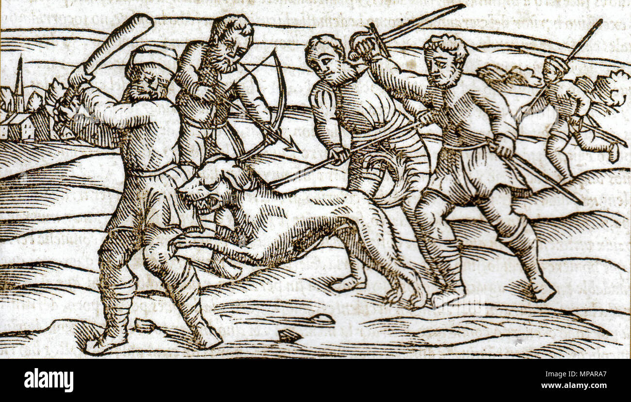 . Inglese: una xilografia dal Medioevo che mostra un cane rabbioso . Medioevo. Sconosciuto 892 Medioevo rabbioso cane Foto Stock