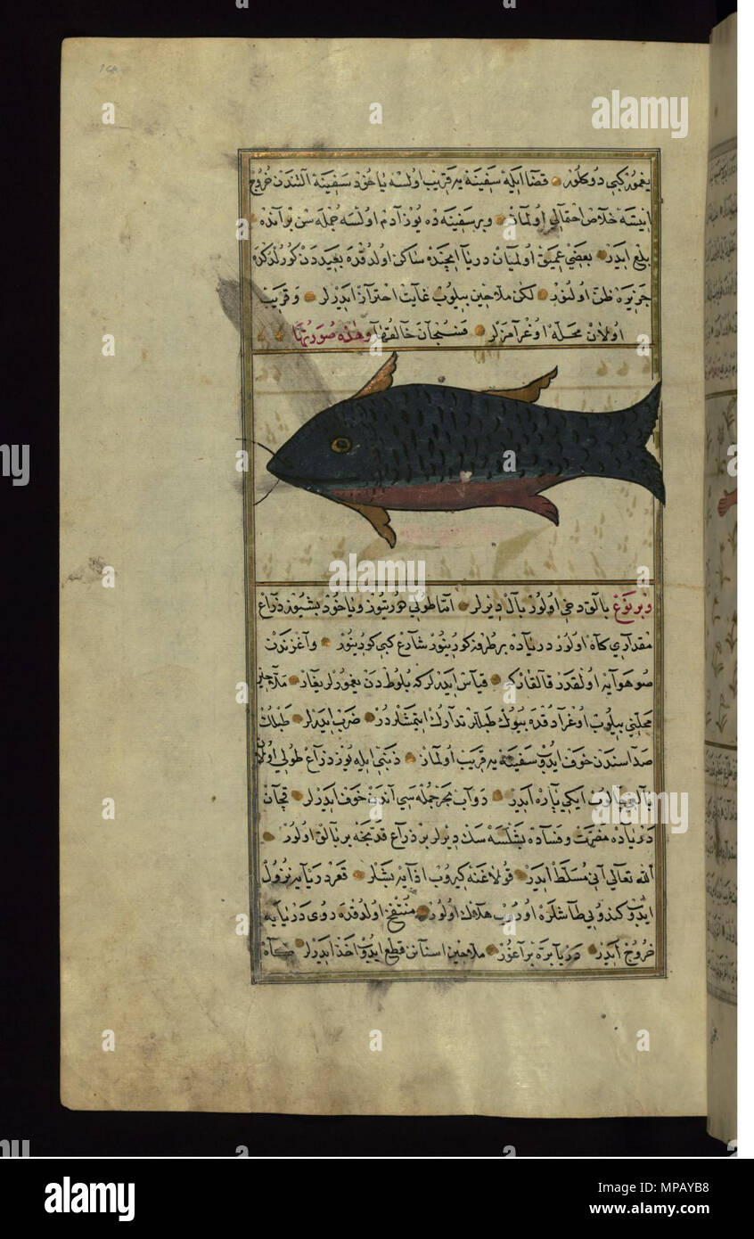 W.659.164un 910 Muhammad ibn Muhammad Shakir Ruzmah-'ho Nathani - il pesce dalla Vaynah (Vinah ) Mari - Walters W659164A - Pagina completa Foto Stock