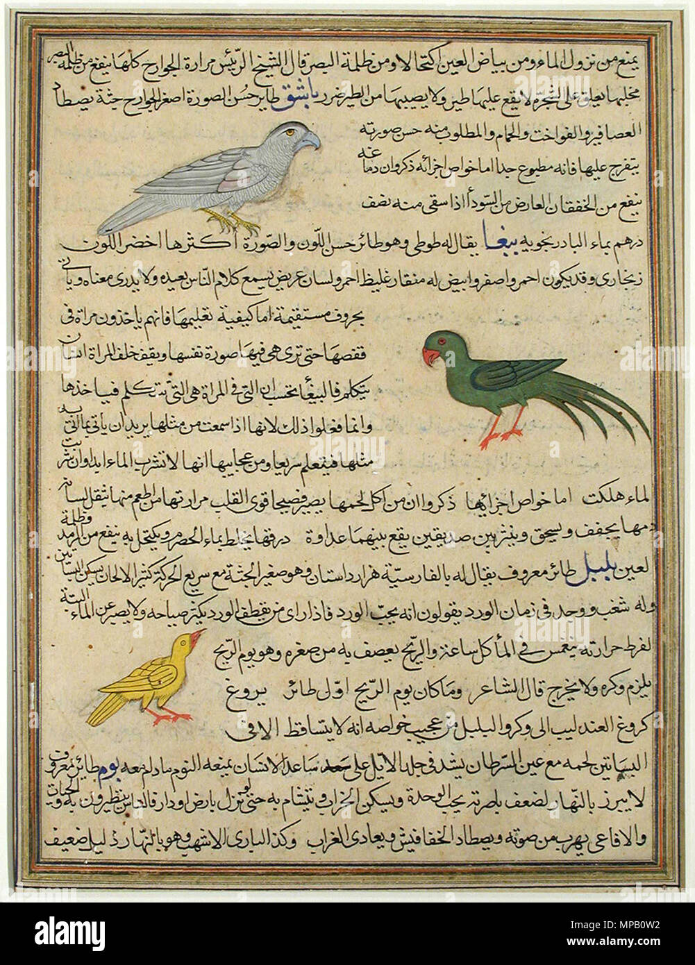 . Inglese: Titolo serie: meraviglie del creato e le stranezze degli esseri Data di creazione: ca. Display 1650 Dimensioni: 11 1/4 in. x 8 11/16 in. (28,6 cm x 22,1 cm) Linea di credito: Edwin Binney terza raccolta numero di adesione: 1990.453 Collezione: <a href='http://www.sdmart.org/art/our-collection/asian-art' rel="nofollow">Il San Diego Museum of Art</a> . 16 ottobre 2001, 10:44:23. Inglese: thesandiegomuseumofartcollection 1045 Recto- Hawk, Parrot e giallo finch; Tergo- Tre uccelli, la (6124542245) Foto Stock