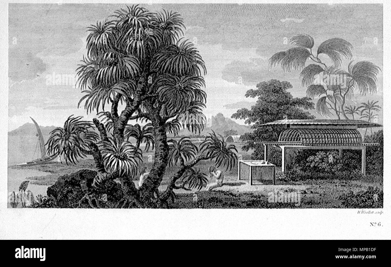 . Inglese: piastra No.6. I nativi del luogo al di fuori di sepoltura capanna con oheines. Huahine. Data sconosciuta. Morbo di Parkinson; William Woollett 919 nativi al di fuori di sepoltura capanna con oheines. Huahine Foto Stock