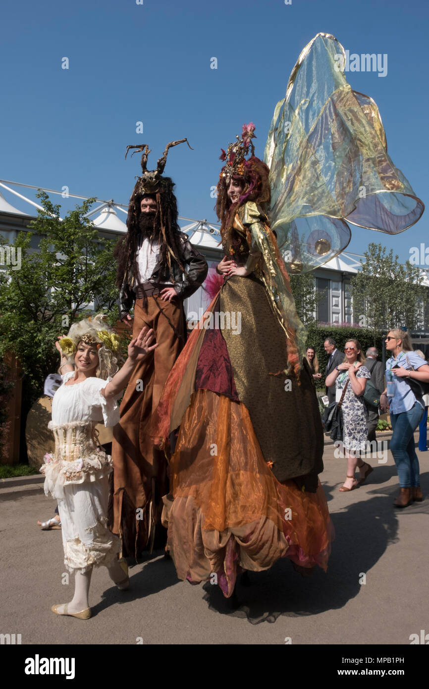 RHS Chelsea Flower Show 2018 , Costume fate dei fiori su palafitte Foto Stock