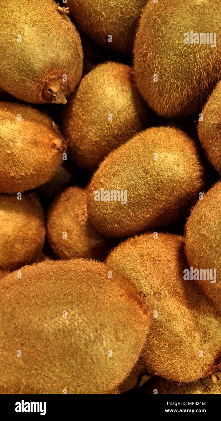 Gruppo di kiwi Foto Stock