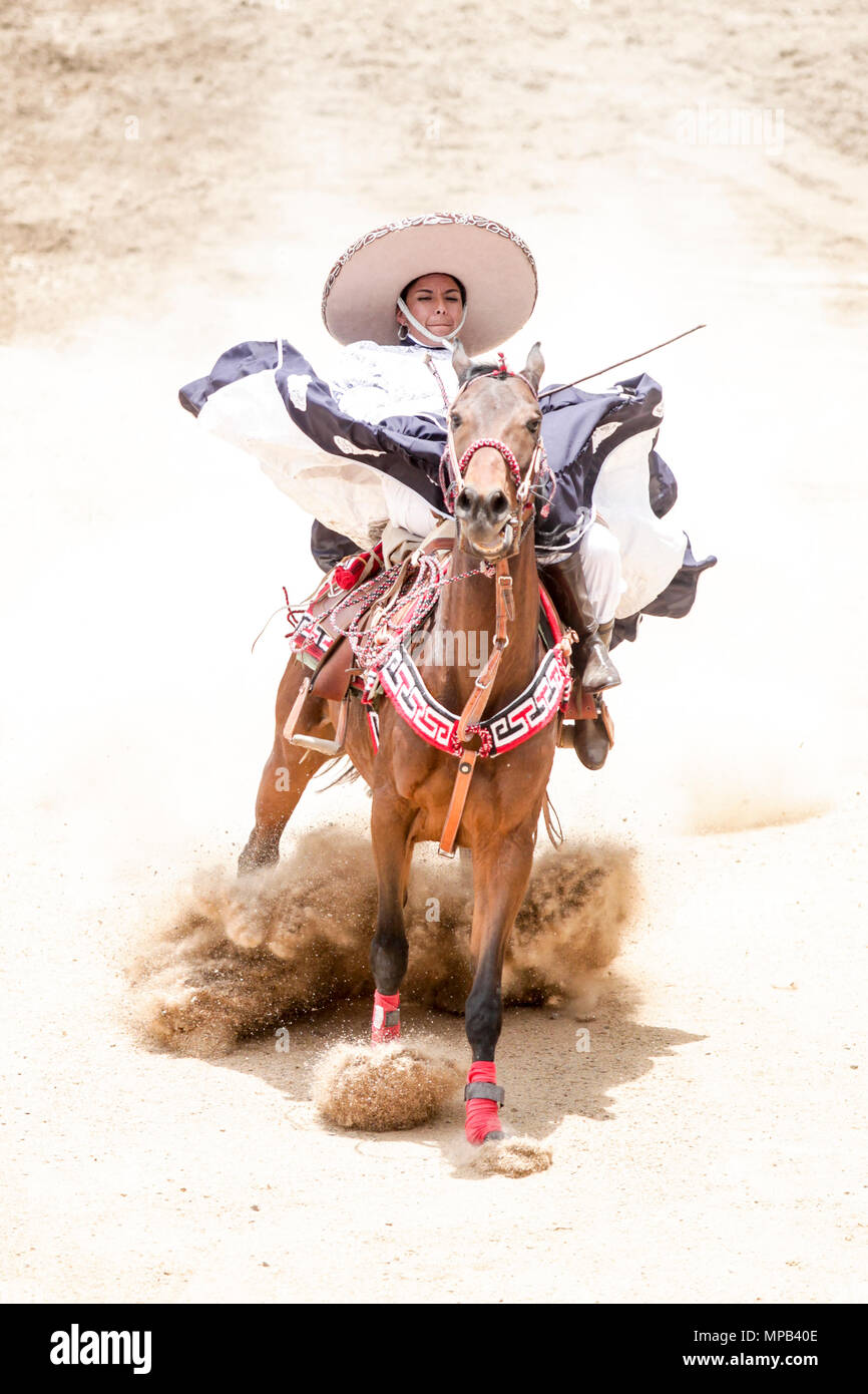 Apizaco, Messico - maggio 20.2018. Escaramuza o Adelita è una parte importante dell'charreria (equitazione) eventi espositivi in USA e Messico Foto Stock