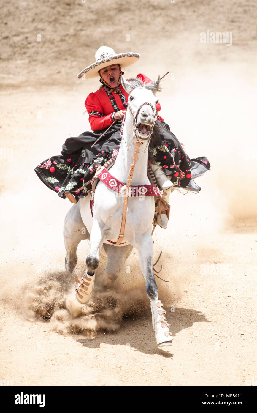 Apizaco, Messico - maggio 20.2018. Escaramuza o Adelita è una parte importante dell'charreria (equitazione) eventi espositivi Foto Stock
