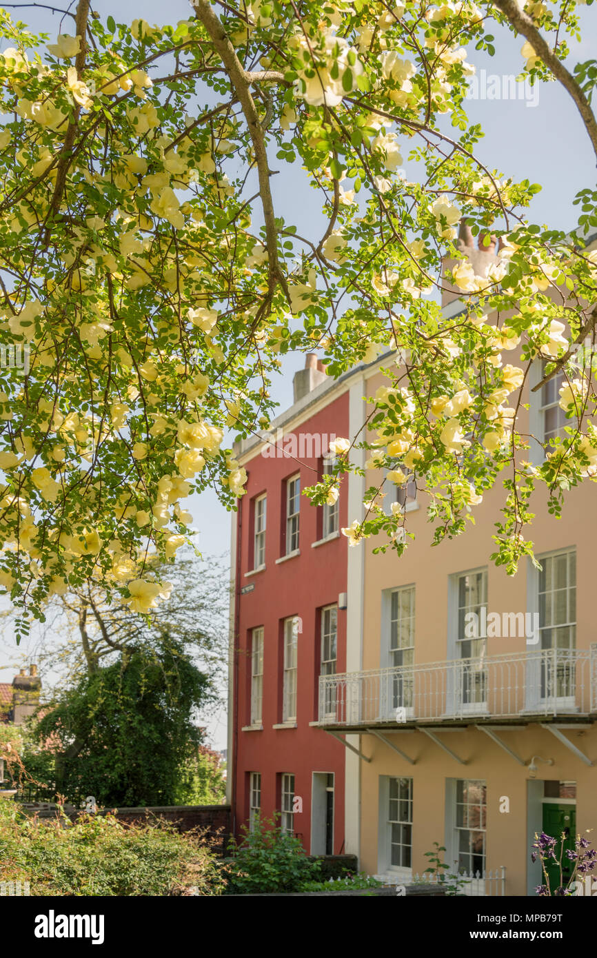 Il giardini colorati del poligono in Cliftonwood, Bristol Foto Stock
