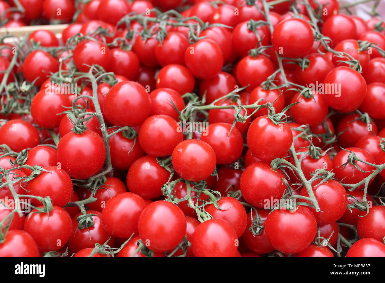 Mature pomodori rossi in un mercato - verdura fresca e sana alimentazione Foto Stock