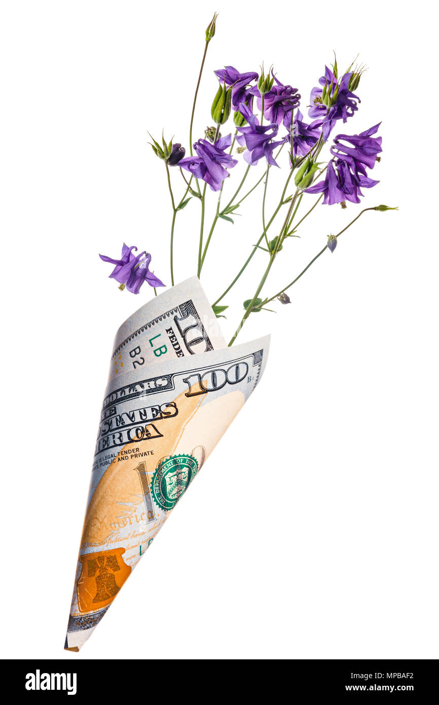 Sacchetto di carta fuori di un centinaio di dollari con viola Aquilegia fiori isolati su sfondo bianco Foto Stock