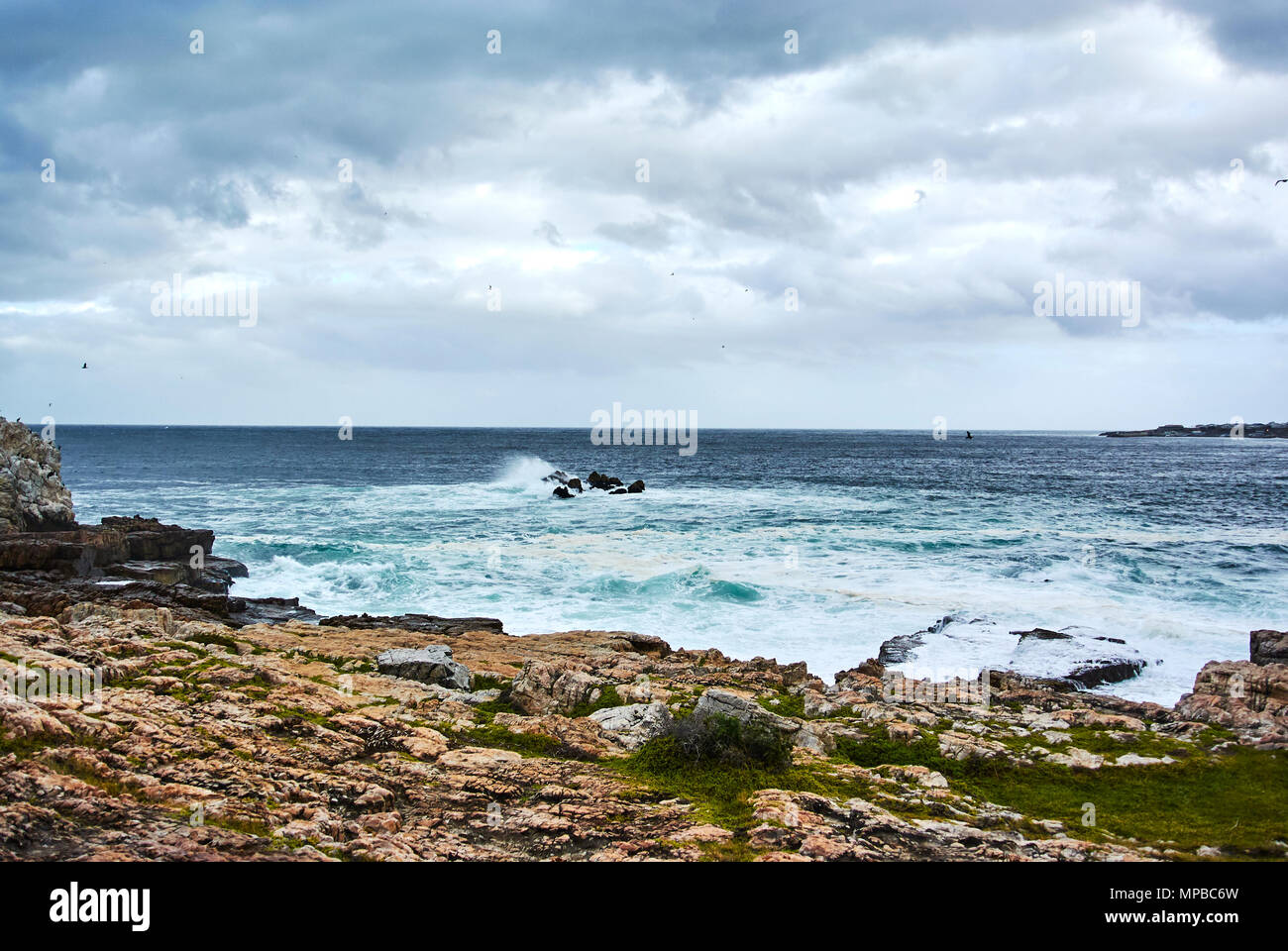 Hermanus (originariamente chiamato Hermanuspietersfontein, ma abbreviato in 1902 come il nome era troppo lungo per il servizio postale), è una città sulla costa meridionale Foto Stock