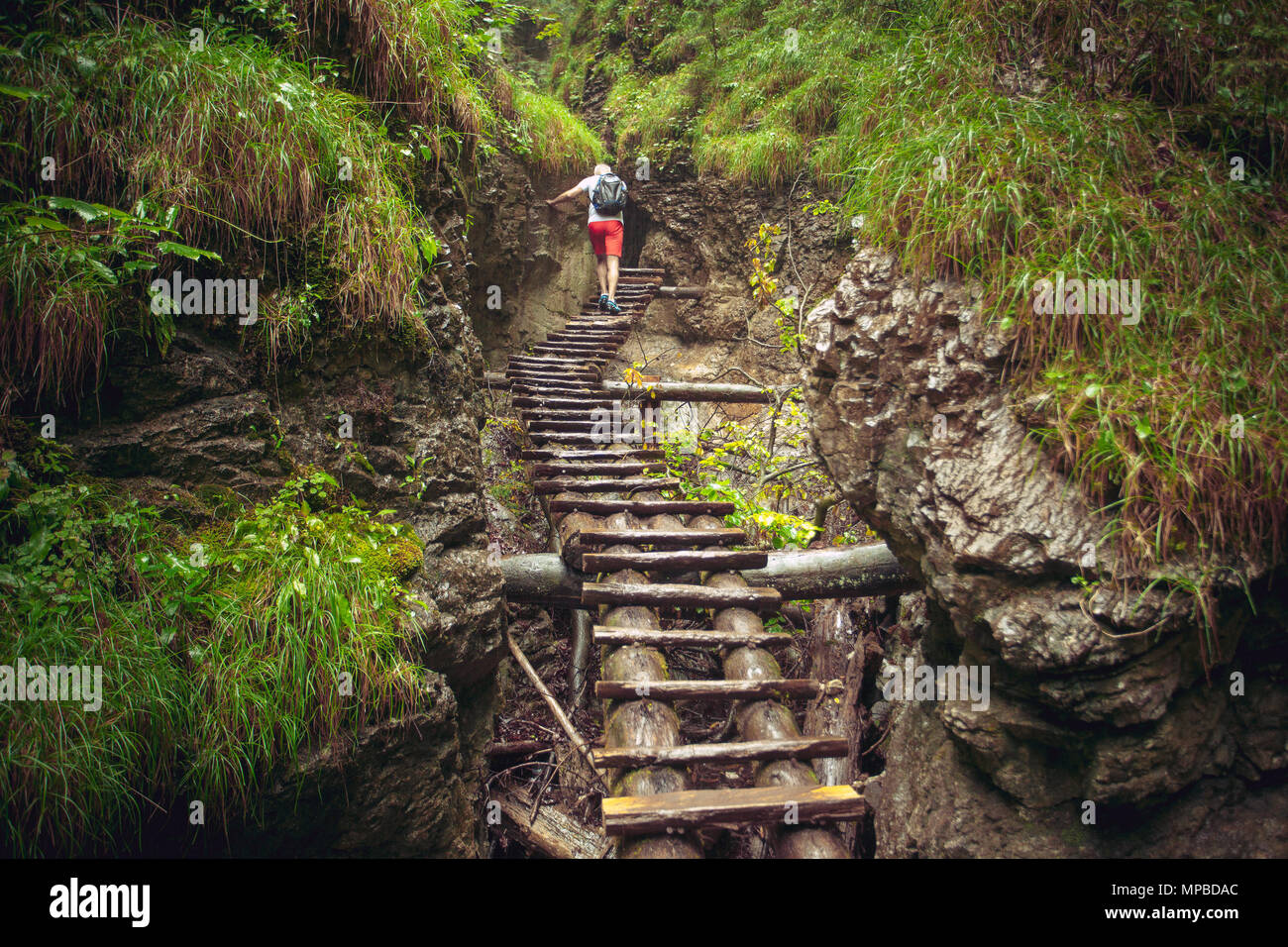 Gli escursionisti a piedi duro cammino attraverso il canyon nelle montagne Tatra, Slovacchia. Abbandonato il vecchio ponte di legno che va nel profondo della foresta selvaggia. Outdoor estremo piacere. Viaggi, Sport, sullo sfondo della natura Foto Stock