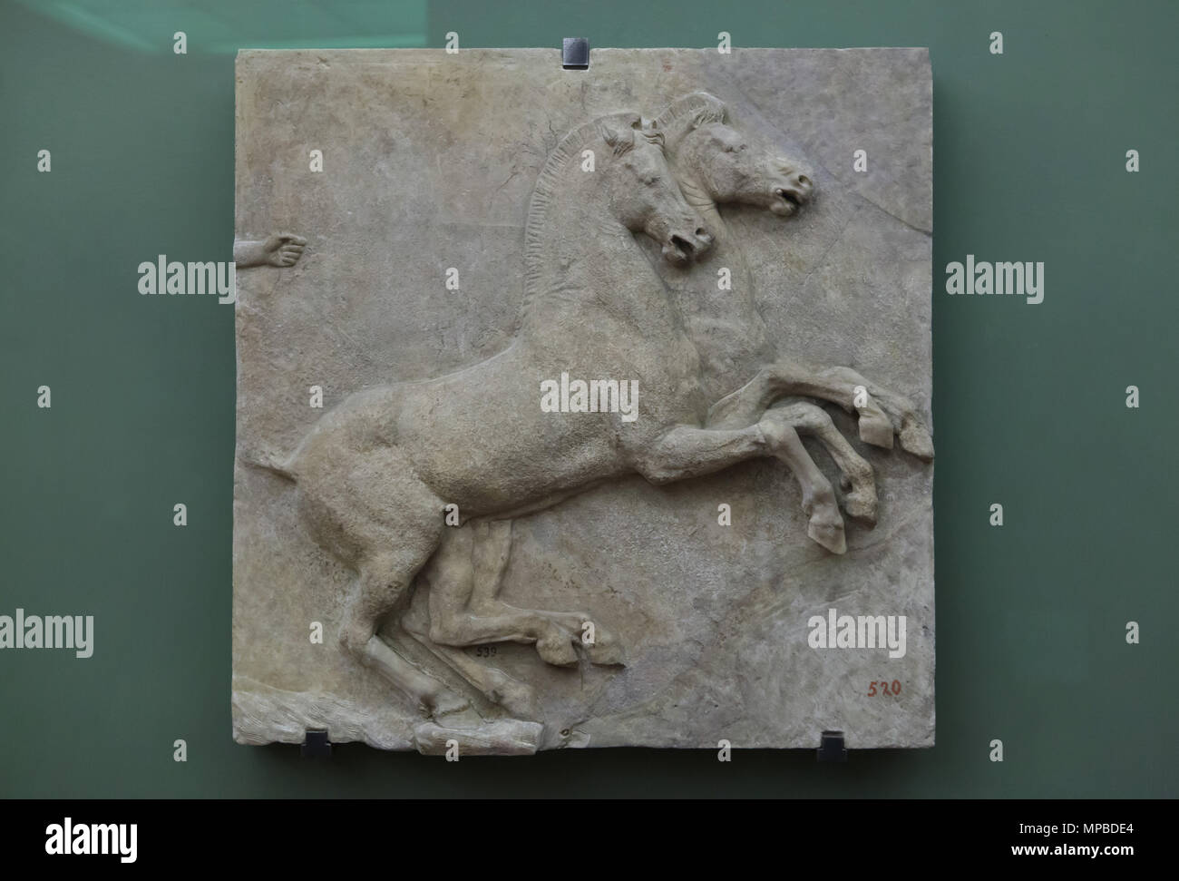 Due cavalli raffigurato in marmo romana rilievo frammentario dall'epoca augustea sul display nella Galleria degli Uffizi (Galleria degli Uffizi di Firenze, Toscana, Italia. Dioniso è raffigurato circondato da drunken menadi. Foto Stock