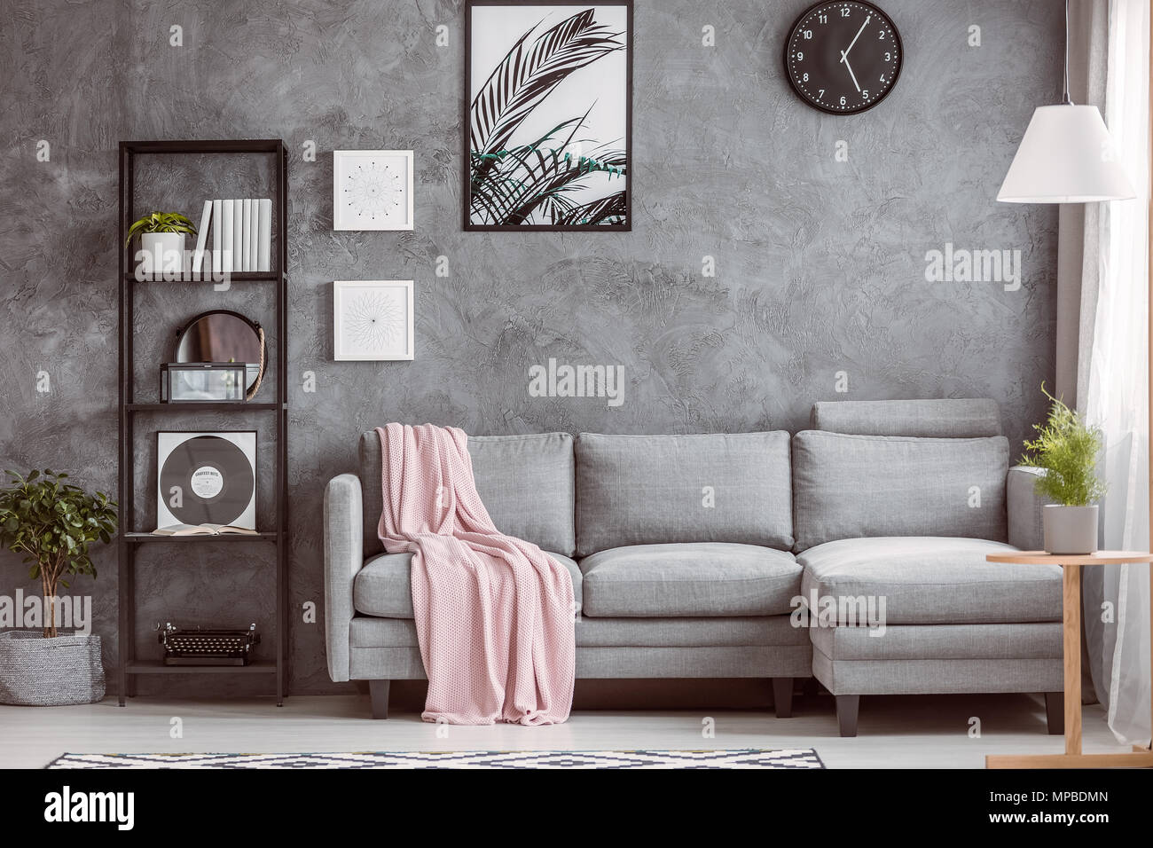 Elegante soggiorno con comodo angolo grigio divano, piccolo albero sul  pavimento e nero orologio sulla parete scura Foto stock - Alamy
