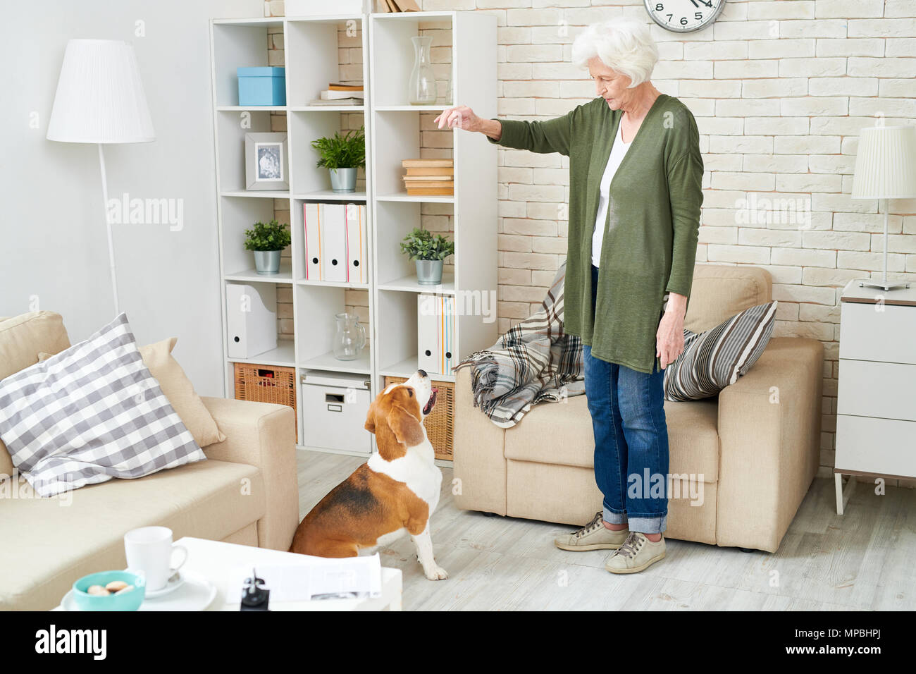 Senior Donna che gioca con il cane Foto Stock