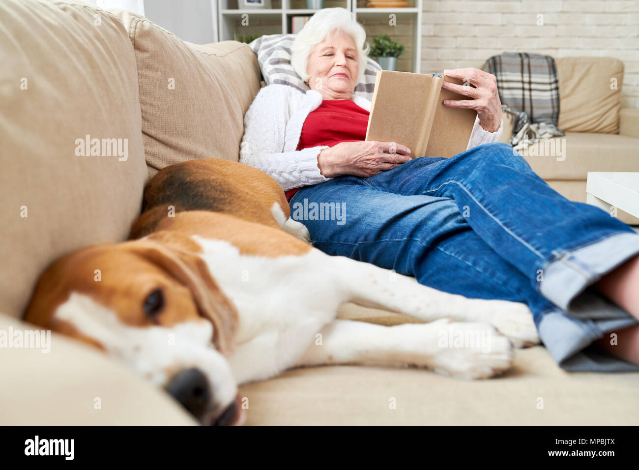 Senior donna godere il tempo libero con il cane Foto Stock