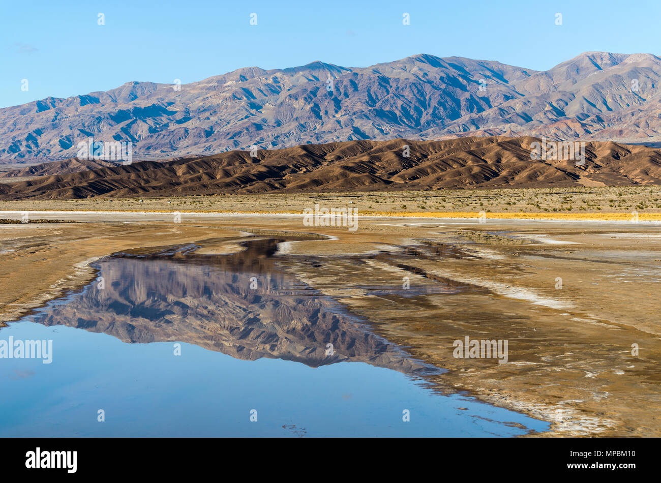Spring Creek - montagne scoscese della gamma Amargosa riflettendo in primavera insenature di sale. Parco Nazionale della Valle della Morte, California, Stati Uniti d'America. Foto Stock