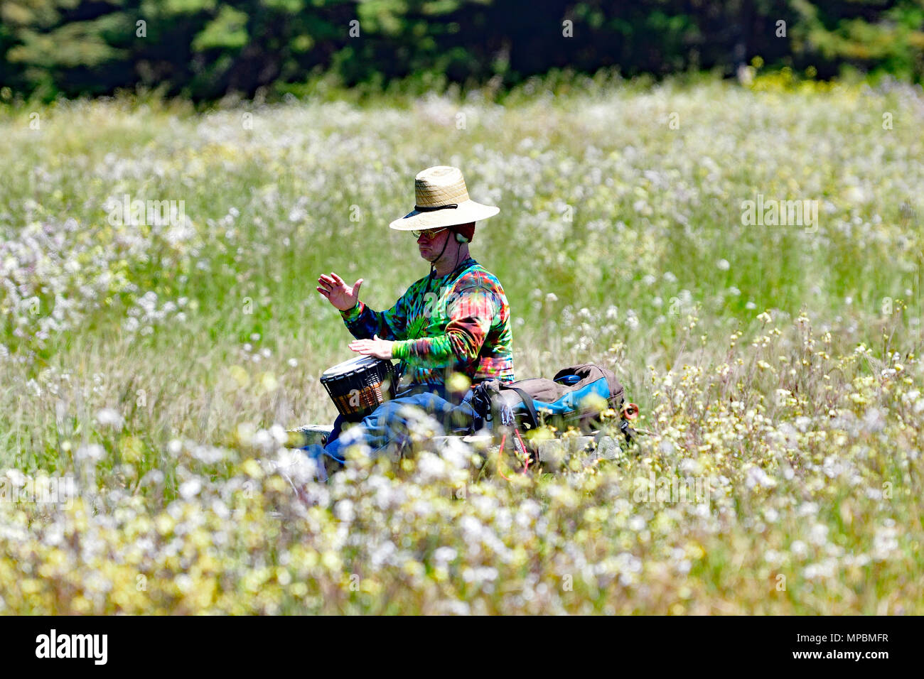 Suonare il tamburo a mano immagini e fotografie stock ad alta