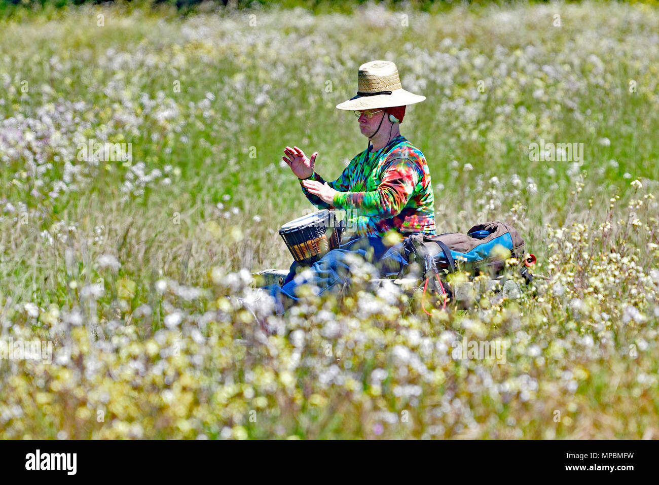 Uomo che suona il tamburo della mano immagini e fotografie stock ad