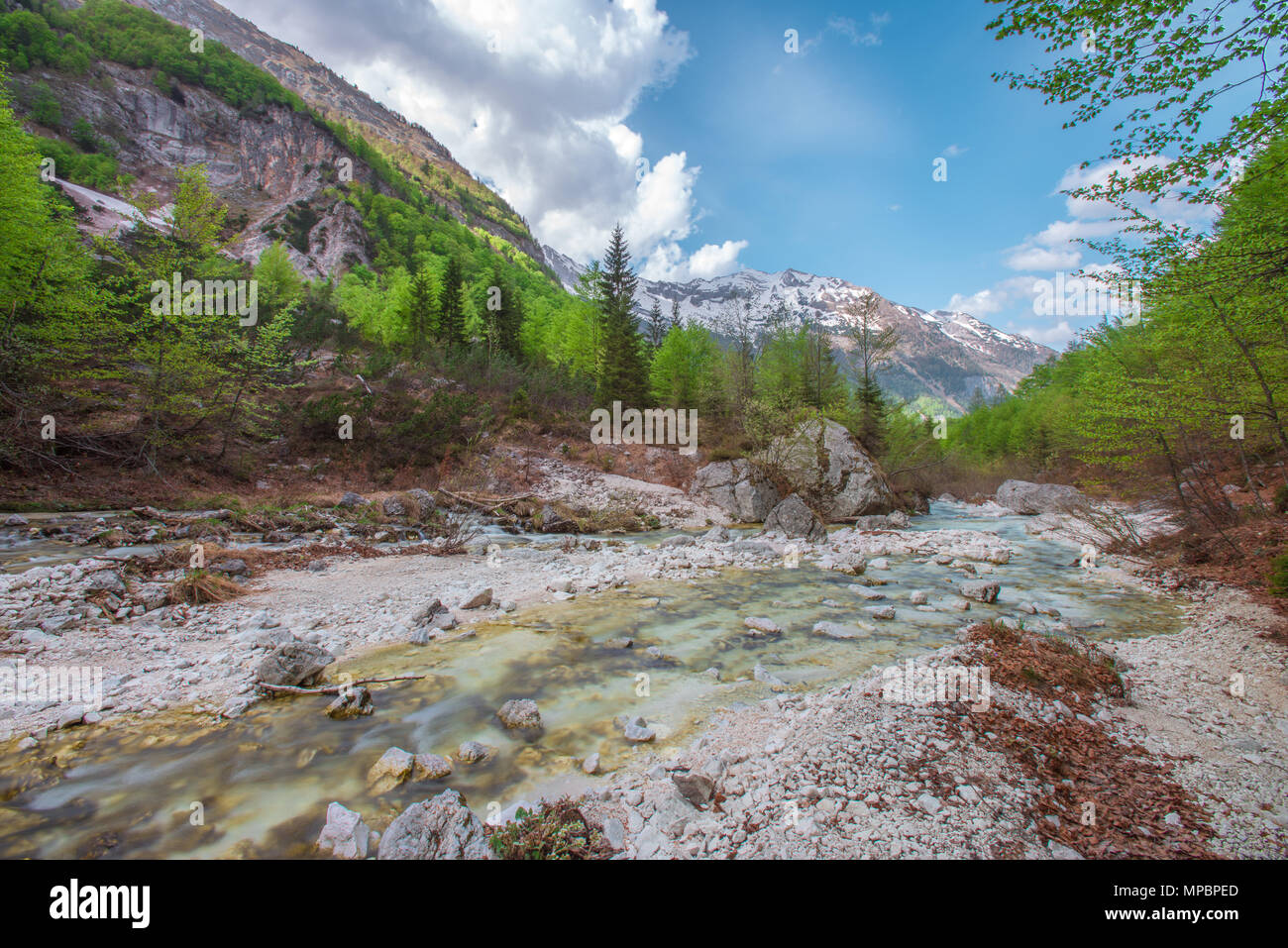 Isonzo - Soca fondo valle. - Glaciale alimentato, crystal clear fiume che scorre verso il basso attraverso le rocce e massi, circondato da fitti boschi e montagne. Foto Stock