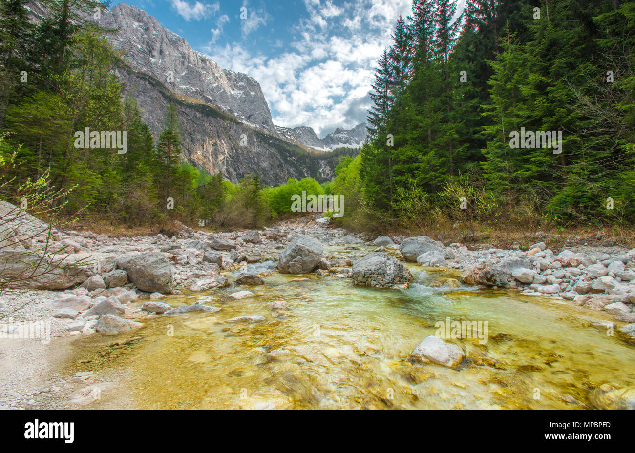 Isonzo - Soca fondo valle. - Glaciale alimentato, crystal clear fiume che scorre verso il basso attraverso le rocce e massi, circondato da fitti boschi e montagne. Foto Stock
