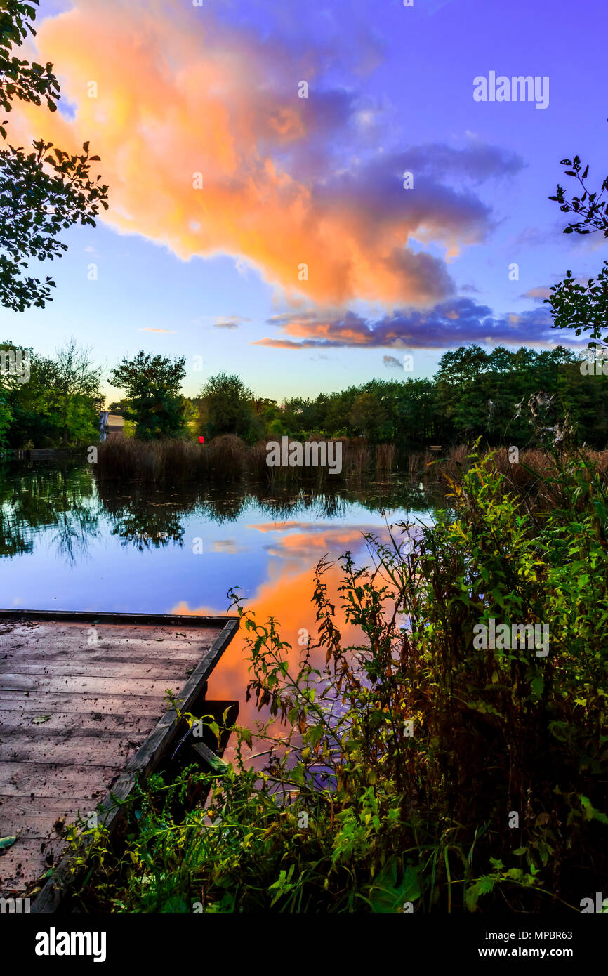 Il tramonto su un piolo di pesca un lago in Baggeridge Country Park. Foto Stock