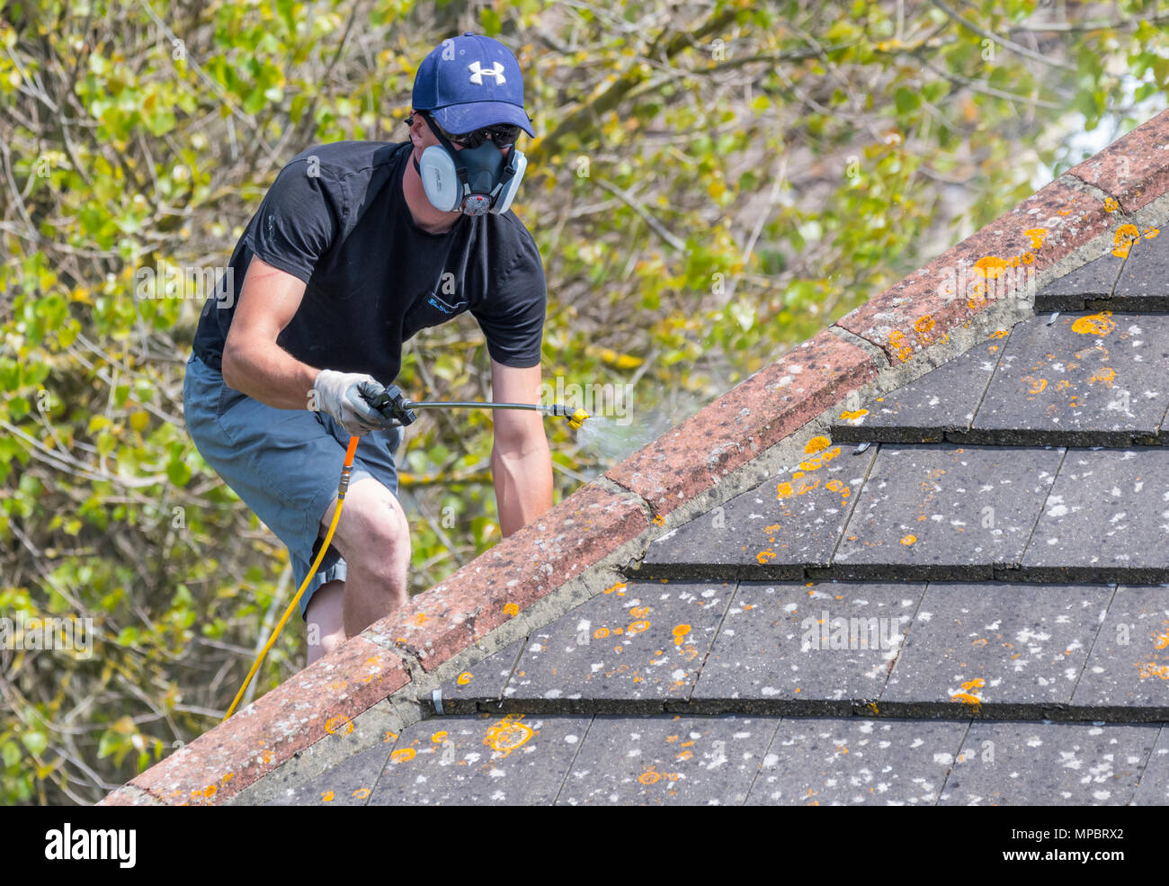 Lavoratore di sesso maschile su una casa di irrorazione sul tetto il tetto, indossare una maschera con respiratore, NEL REGNO UNITO. Foto Stock