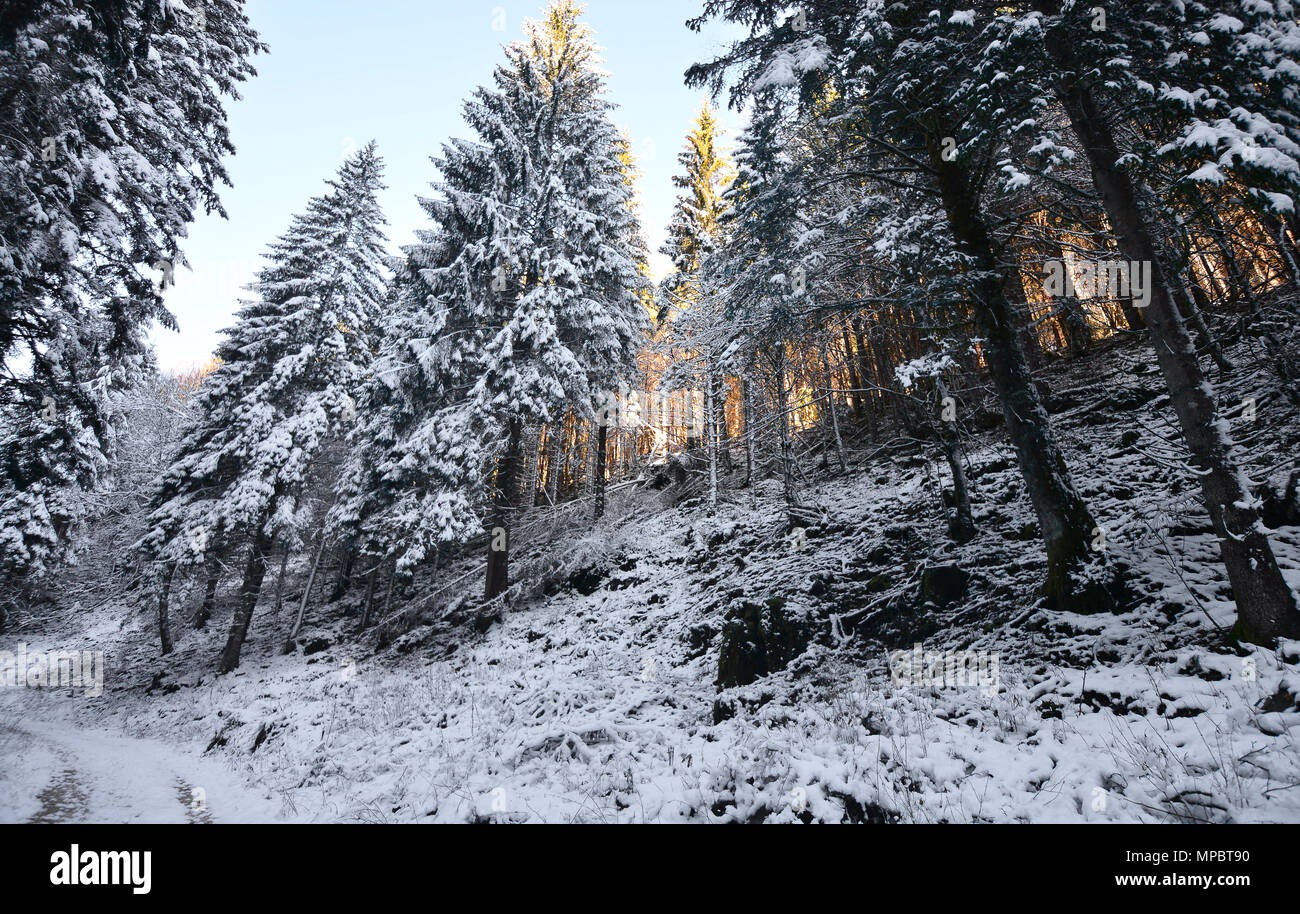 Bellissimi Paesaggi Invernali Foto Stock Alamy