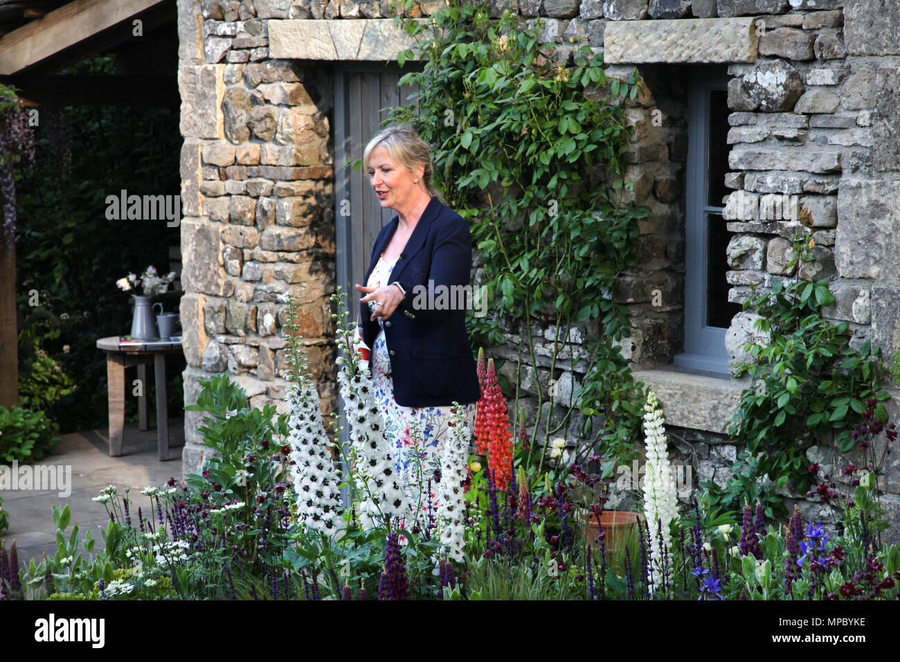 A Chelsea, Londra, Regno Unito. 21 Maggio, 2018. A Chelsea, Londra, Regno Unito. 21 maggio 2018. Carol Kirkwood presentando il meteo in tempo reale il mattino del 21 maggio 2018 da il benvenuto a Yorkshire's Garden at Chelsea Flower Show Credito: Jenny Lilly/Alamy Live News Foto Stock