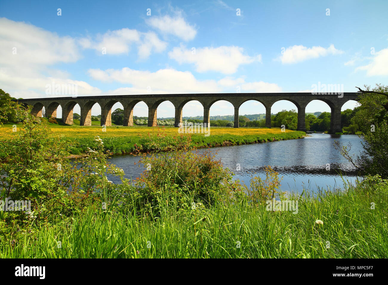 Arthington viadotto, West Yorkshire, Regno Unito. 22 maggio 2018 Sunny View del viadotto Arthington, West Yorkshire. Il viadotto porta la Harrogate linea ferroviaria attraverso il Wharfe valley. Il viadotto fu costruito tra il 1845 al 1849 è di circa 460 metri di lunghezza con 21 arcate e attraversa il fiume Wharfe tra Arthington nel West Yorkshire a Castley in North Yorkshire. Credito: Andrew Gardner/Alamy Live News Foto Stock