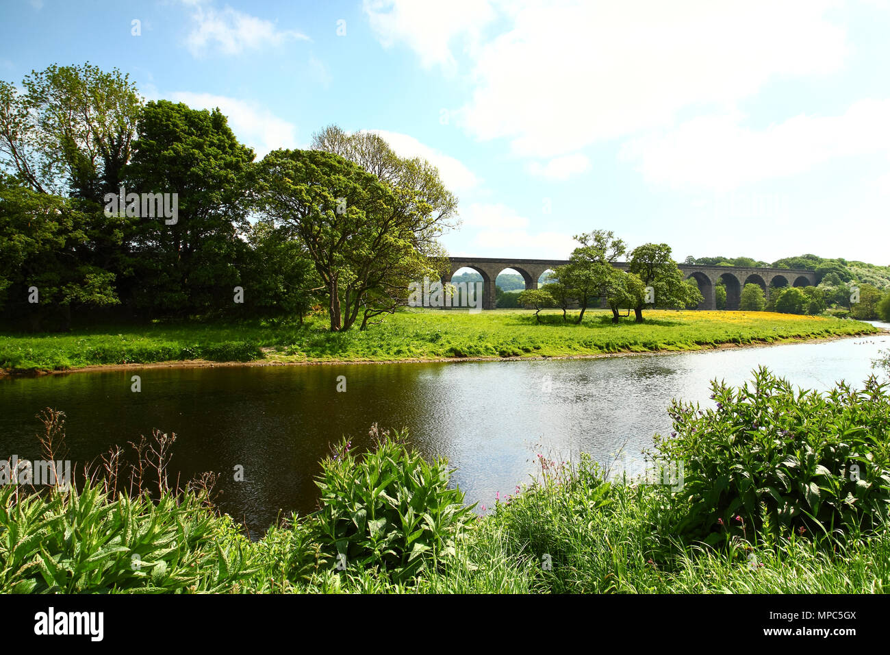 Arthington viadotto, West Yorkshire, Regno Unito. 22 maggio 2018 Sunny View del viadotto Arthington, West Yorkshire. Il viadotto porta la Harrogate linea ferroviaria attraverso il Wharfe valley. Il viadotto fu costruito tra il 1845 al 1849 è di circa 460 metri di lunghezza con 21 arcate e attraversa il fiume Wharfe tra Arthington nel West Yorkshire a Castley in North Yorkshire. Credito: Andrew Gardner/Alamy Live News Foto Stock