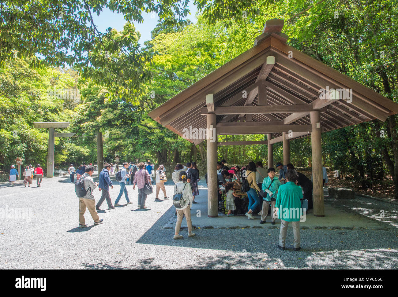 I visitatori di lavaggio a temizusha a purificarsi prima di entrare in Santuario per pregare, Naiku, Ise Jingu, Mie, Giappone Foto Stock