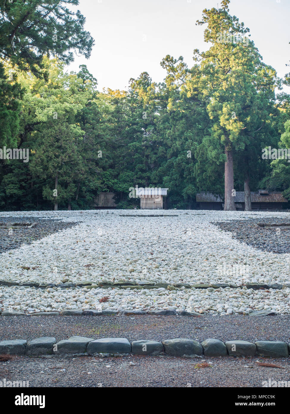 Goshoden santuario principale Kodenchi e Oi-ya edificio sacro contenente palo centrale shin-no-mihashira, bosco sacro dietro, Geku, Ise Jingu, Giappone Foto Stock