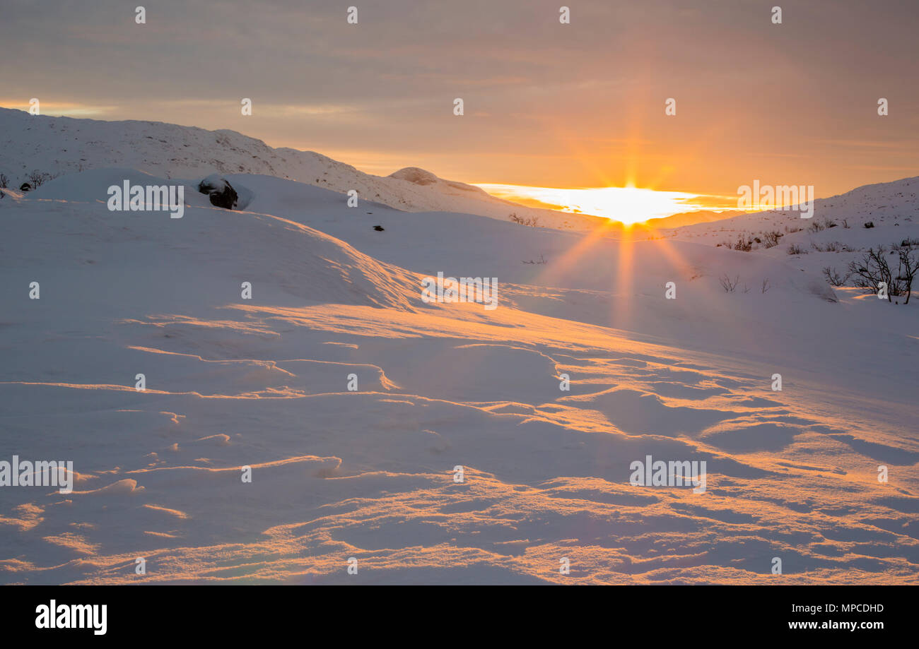 Paesaggio invernale in luce diretta al tramonto, Riksgränsen, Kiruna county, Lapponia svedese, Svezia Foto Stock