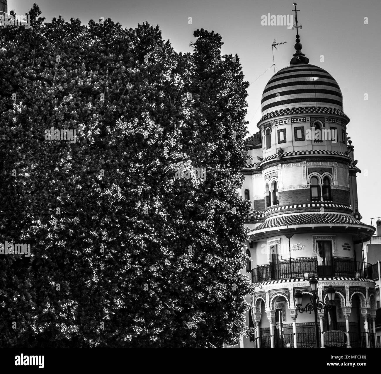 Edificio de La Adriatica in bianco e nero di Siviglia in Spagna Foto Stock Edificio de La Adriatica in bianco e nero di Siviglia in Spagna Foto Stock