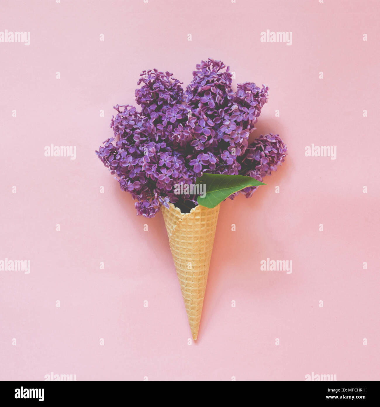 Creative ancora in vita. Bouquet di viola fiore lilla in cono gelato su un colore rosa pallido sfondo. Concetto di primavera. Vista da sopra. Foto Stock