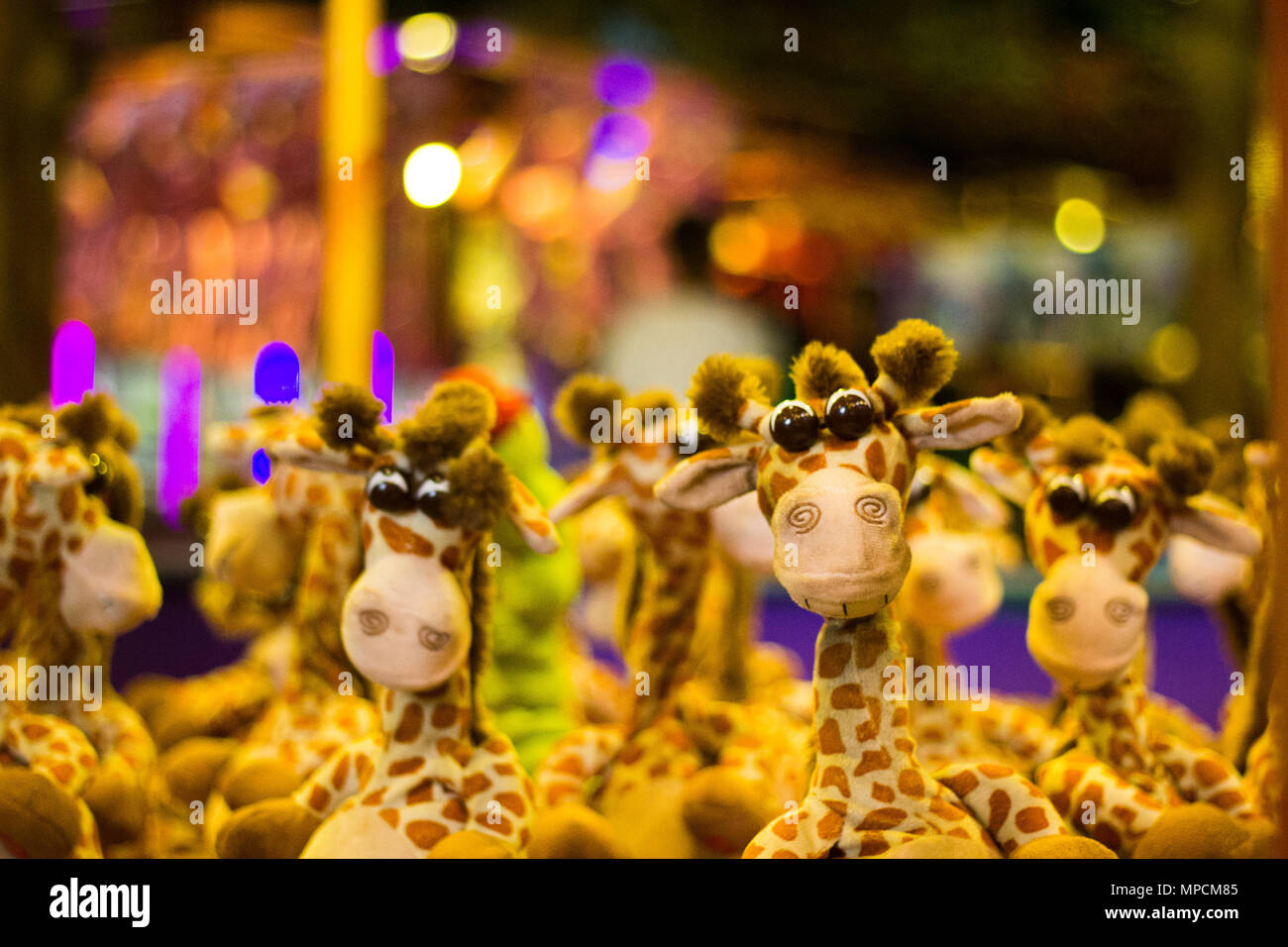 La giraffa per i premi Foto Stock