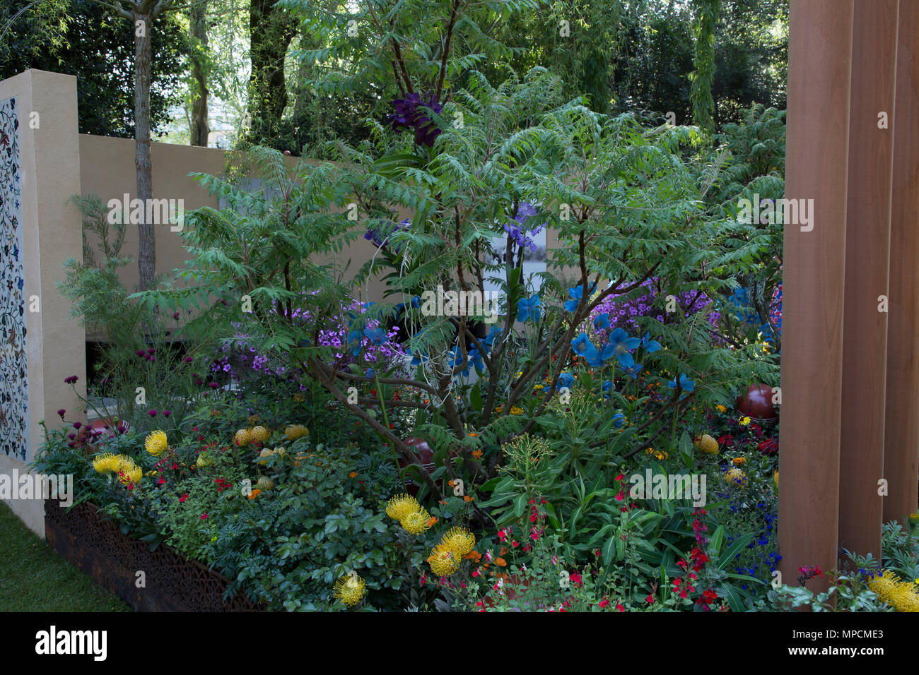 Il Consiglio britannico Garden - India: un miliardo di sogni. Progettista: Sarah Eberle. Appaltatore: Belderbos Landscapes. Signor Commissario: Consiglio Britannico Foto Stock