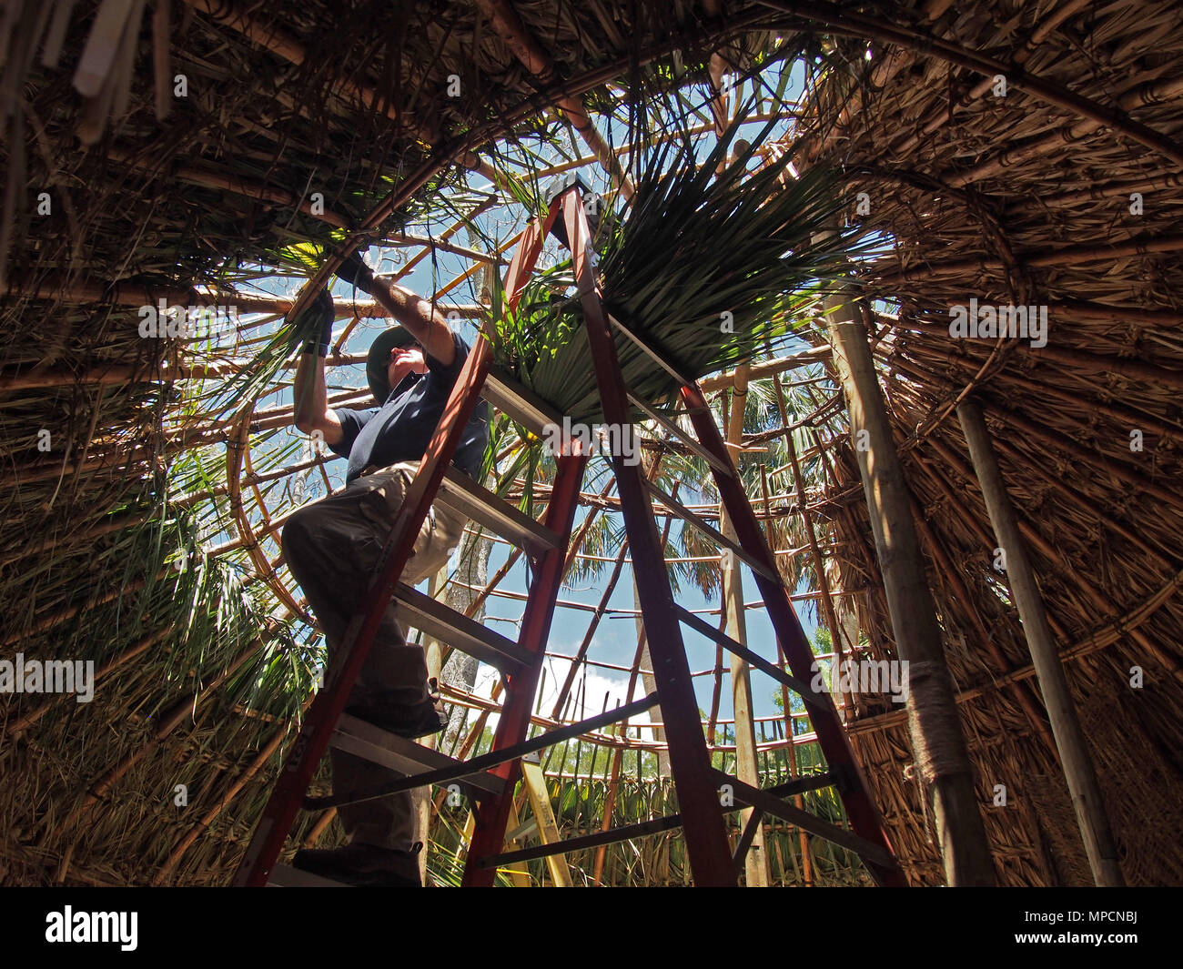 Lavoratore di stazionamento re-thatches Timucuan palm hut ricreazione alla fontana della giovinezza del Parco Archeologico di Sant Agostino, Florida, USA, 2018 © Katharine Andrioti Foto Stock