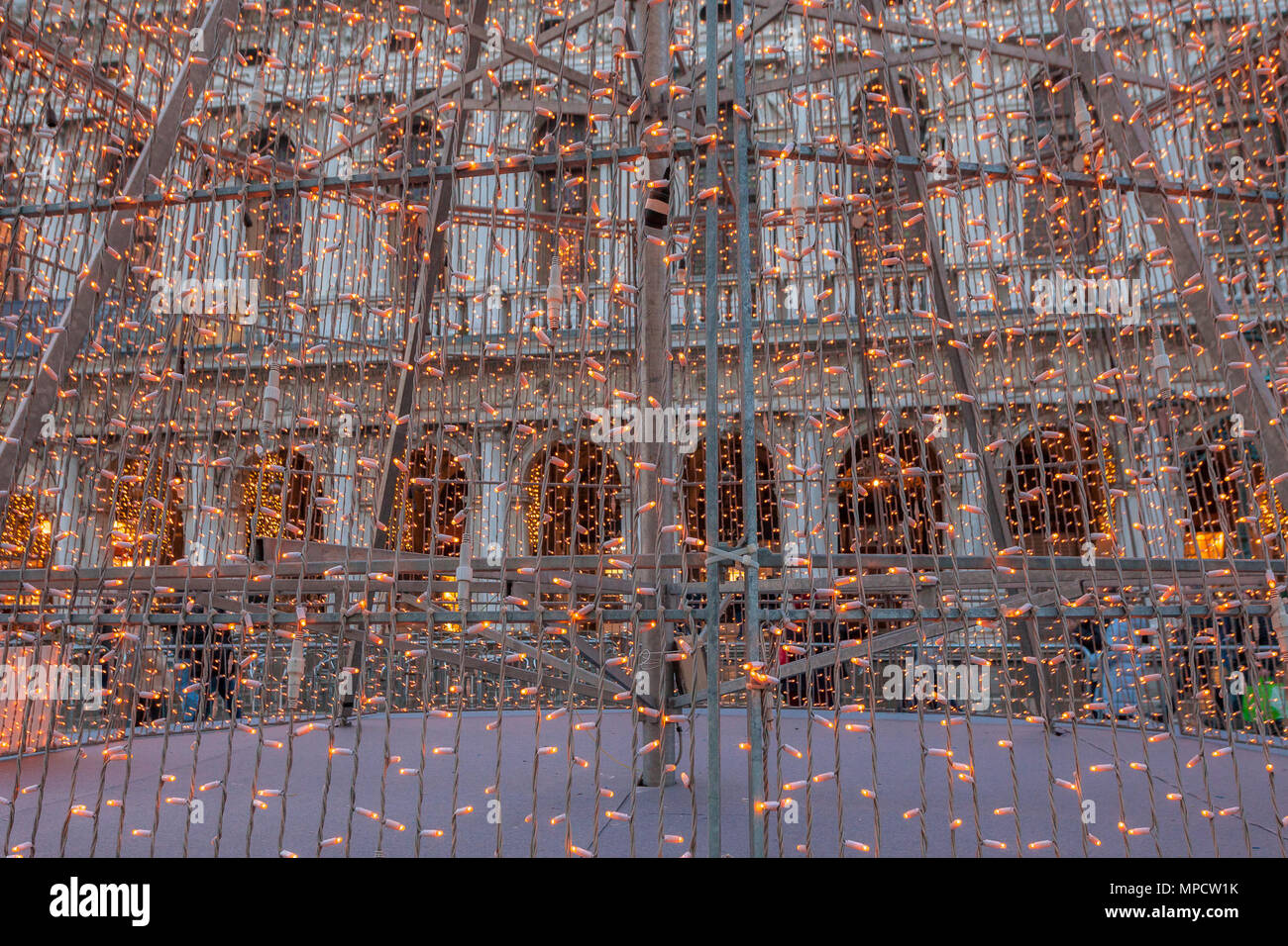 Vista attraverso l'albero di Natale le lampadine della luce in piazza San Marco, Venezia, Italia Foto Stock
