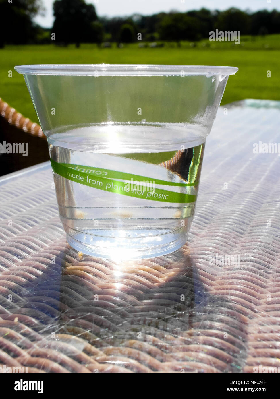 Bioplastica Cup by Vegware realizzato da piante. Completamente biodegradabile e compostabile alternativa per i bicchieri di plastica. Foto Stock
