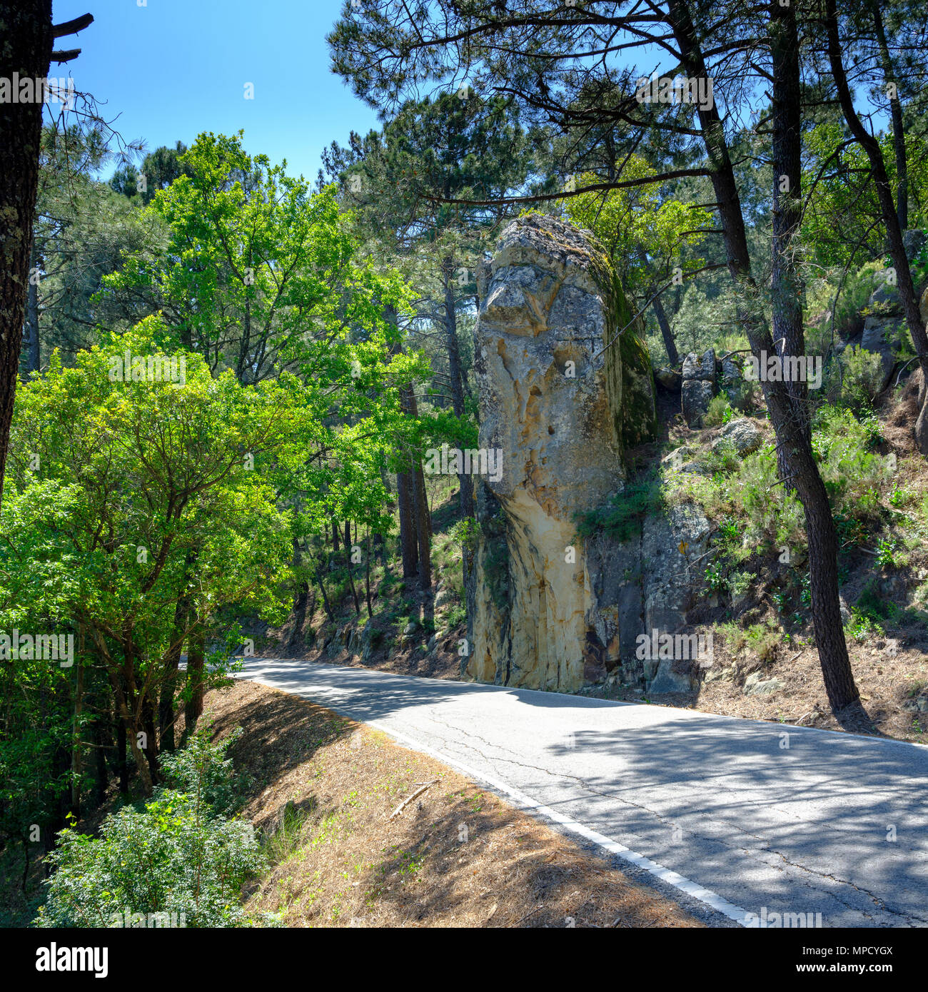 Viste di alberi da sughero e montagne prese sulla A-375, all'interno del Parque Natural de la Sierra de Grazalema, Andalusia, Spagna Foto Stock