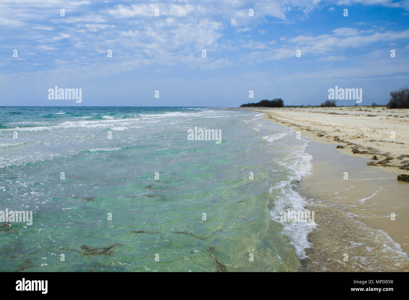 Il deserta fiaba spiaggia con sabbia dorata e acque azzurre sulle rive dell'oceano. Un posto romantico vicino al mare. Giorno nuvoloso. Foto Stock