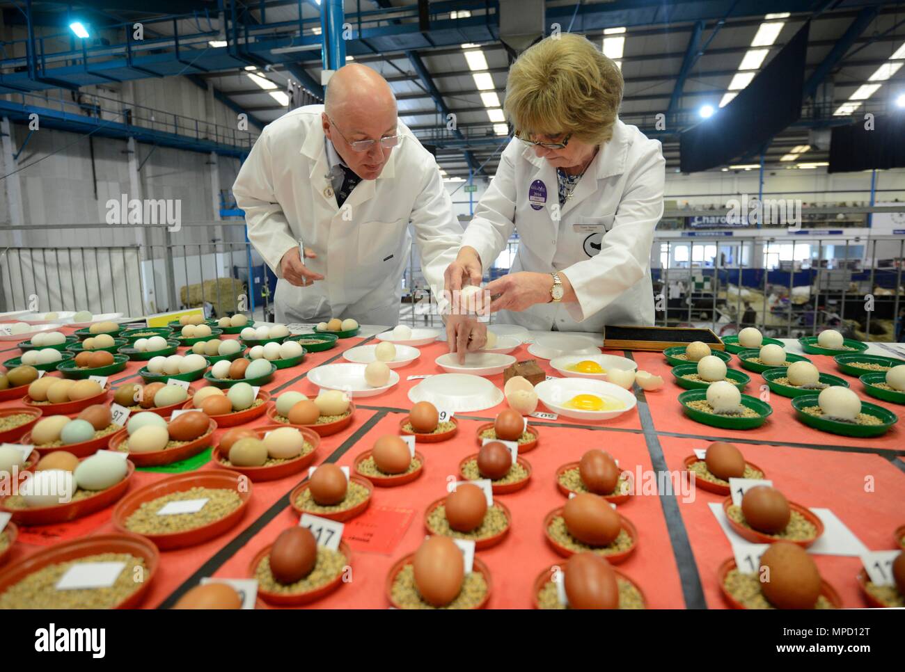 Bagno e West spettacolo agricolo Foto Stock