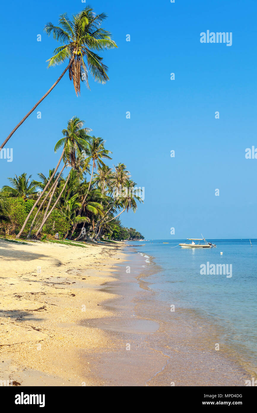 Mattina di sole su Bang Po beach. Koh Samui. Thailandia. Foto Stock
