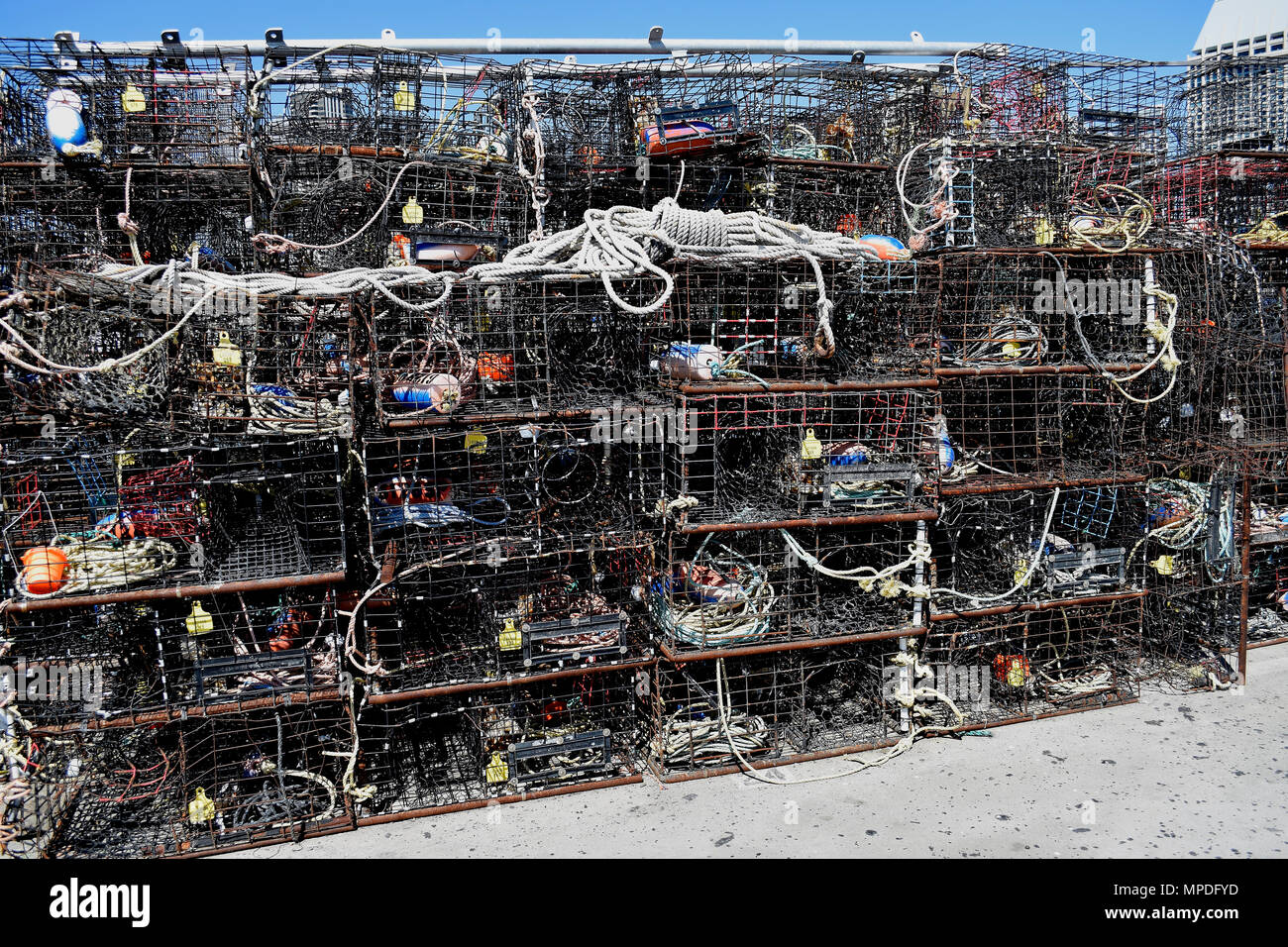 Trappole di granchio su un molo di San Diego, California Foto Stock